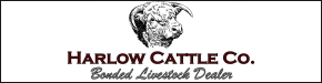 Harlow Cattle Company